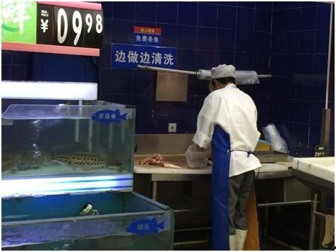 我逛了外星人超市,异域风情与科技魅力的完美融合