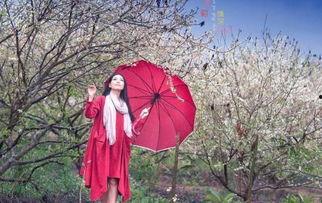 风雨误春光（七年寒鸢）,七年寒鸢的青春岁月