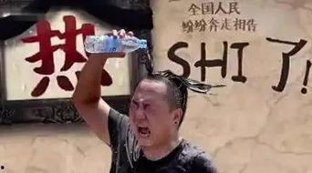 尼玛的夏天,探寻高原盛夏的别样风情