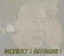 绝不原谅,揭开复仇与宽恕的深层较量