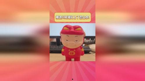 果冻卷：救救我,勇敢的冒险与拯救之旅