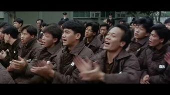 监狱风云录,揭秘铁窗背后的真实人生