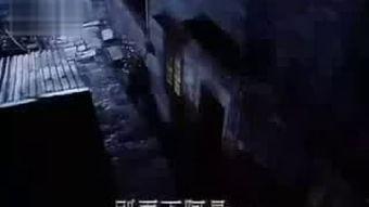 人肉玩具,揭秘成人娱乐的边界与争议