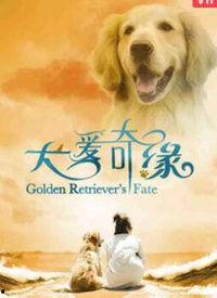 犬爱奇缘,跨越时空的忠诚守护