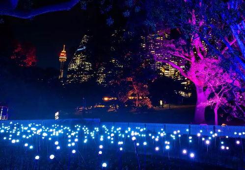 美妙的夜晚,璀璨星空下的浪漫之夜