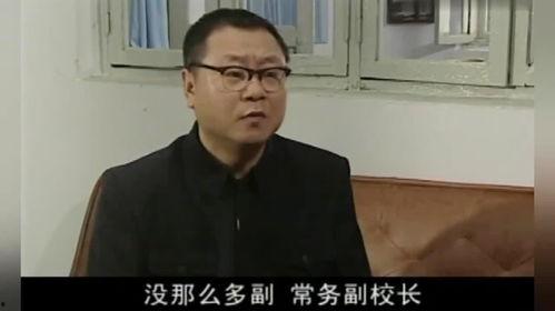 马大帅,传奇人生与时代变迁的见证者