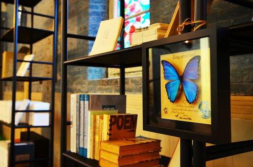 夏日书局,探寻知识的绿洲,邂逅心灵的归宿